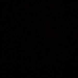 Meet your Posher, Abbie